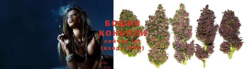 МАРИХУАНА Ganja  KRAKEN зеркало  Бавлы 